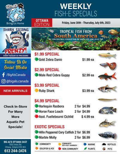 Big Al's (Ottawa East) Weekly Specials June 30 to July 6