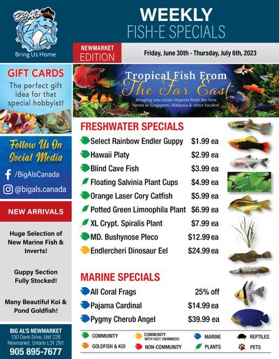 Big Al's (Newmarket) Weekly Specials June 30 to July 6