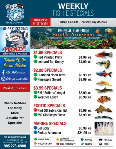Big Al's (Mississauga) Weekly Specials June 30 to July 6