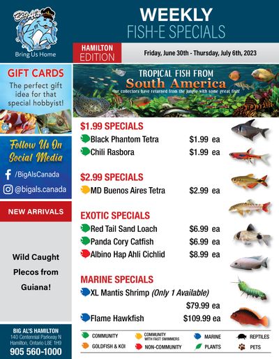Big Al's (Hamilton) Weekly Specials June 30 to July 6