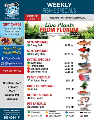 Big Al's (Brampton) Weekly Specials June 30 to July 6