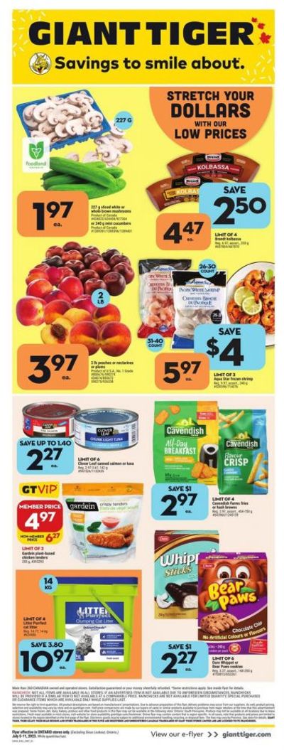 Giant Tiger Canada Flyer Deals July 5th – 11th