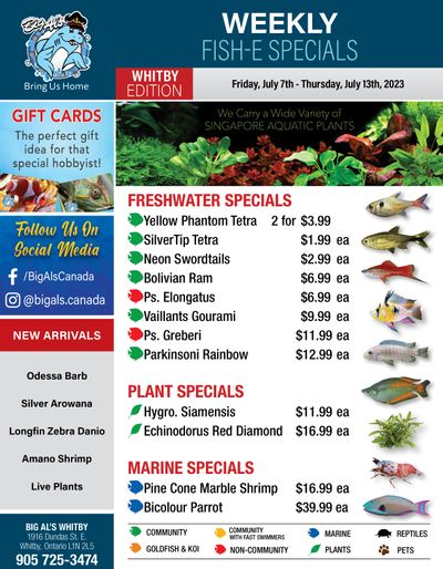 Big Al's (Whitby) Weekly Specials July 7 to 13