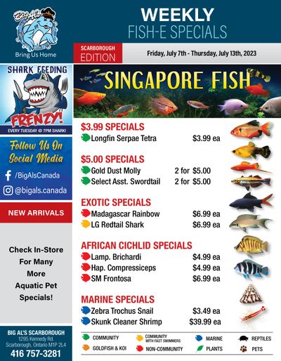 Big Al's (Scarborough) Weekly Specials July 7 to 13