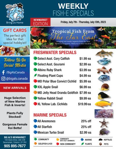 Big Al's (Newmarket) Weekly Specials July 7 to 13
