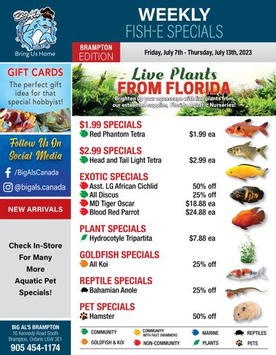 Big Al's (Brampton) Weekly Specials July 7 to 13
