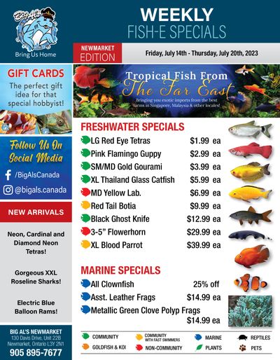Big Al's (Newmarket) Weekly Specials July 14 to 20 Big Al's (Newmarket) Weekly Specials July 14 to 20