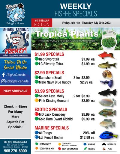 Big Al's (Mississauga) Weekly Specials July 14 to 20