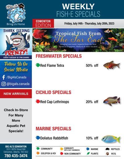 Big Al's (Edmonton) Weekly Specials July 14 to 20