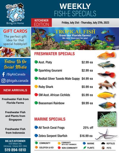 Big Al's (Kitchener) Weekly Specials July 21 to 27
