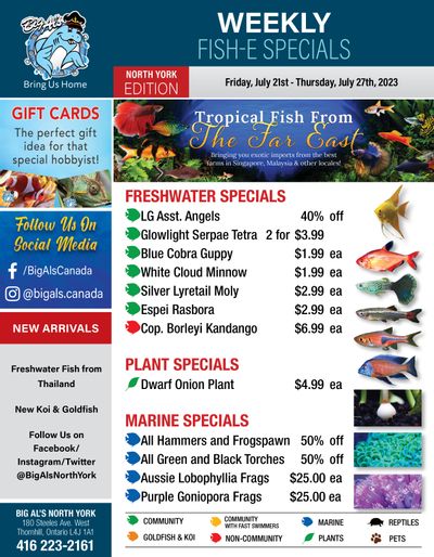 Big Al's (North York) Weekly Specials July 21 to 27
