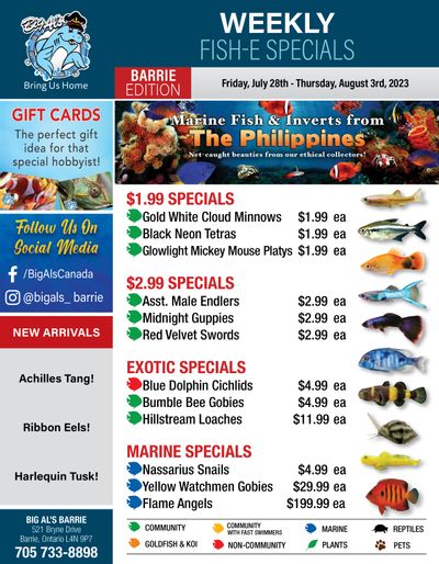 Big Al's (Barrie) Weekly Specials July 28 to August 3