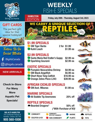 Big Al's (Hamilton) Weekly Specials July 28 to August 3