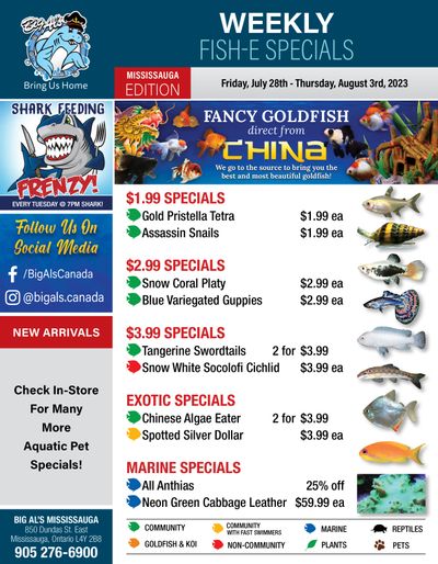 Big Al's (Mississauga) Weekly Specials July 28 to August 3