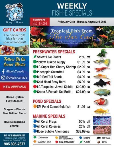 Big Al's (Newmarket) Weekly Specials July 28 to August 3