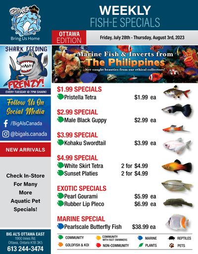Big Al's (Ottawa East) Weekly Specials July 28 to August 3 Big Al's (Ottawa East) Weekly Specials July 28 to August 3