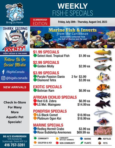 Big Al's (Scarborough) Weekly Specials July 28 to August 3