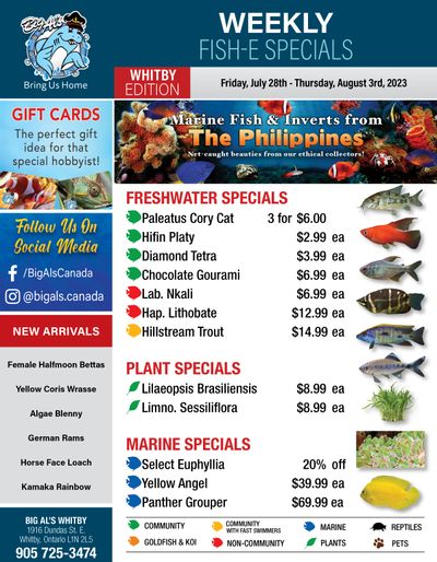 Big Al's (Whitby) Weekly Specials July 28 to August 3