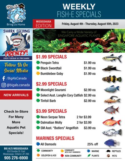Big Al's (Mississauga) Weekly Specials August 4 to 10