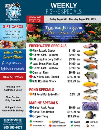 Big Al's (Newmarket) Weekly Specials August 4 to 10