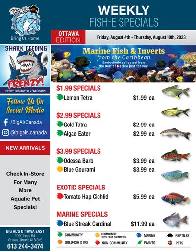 Big Al's (Ottawa East) Weekly Specials August 4 to 10