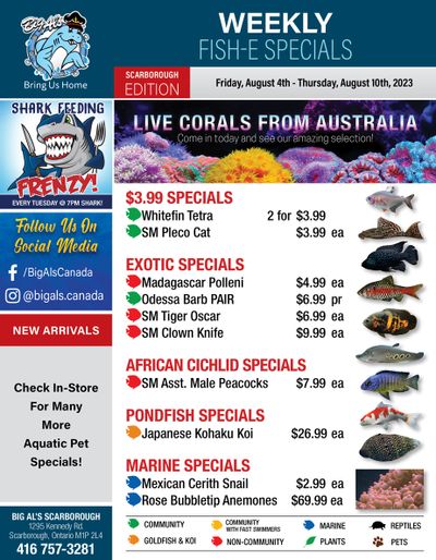 Big Al's (Scarborough) Weekly Specials August 4 to 10