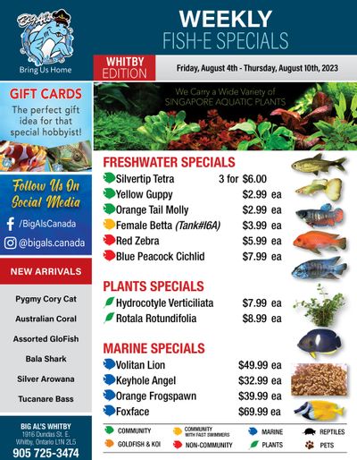 Big Al's (Whitby) Weekly Specials August 4 to 10