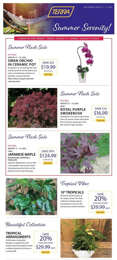 Terra Greenhouses Flyer August 11 to 17