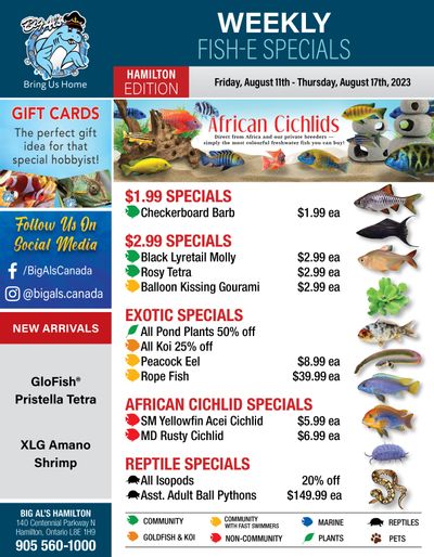 Big Al's (Hamilton) Weekly Specials August 11 to 17