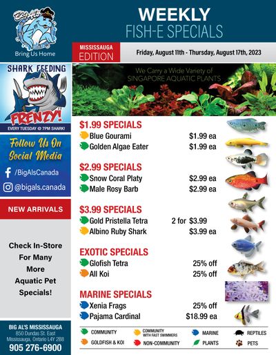 Big Al's (Mississauga) Weekly Specials August 11 to 17