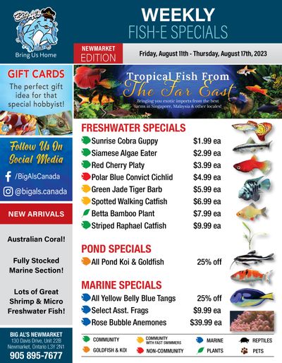 Big Al's (Newmarket) Weekly Specials August 11 to 17