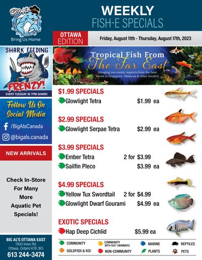 Big Al's (Ottawa East) Weekly Specials August 11 to 17