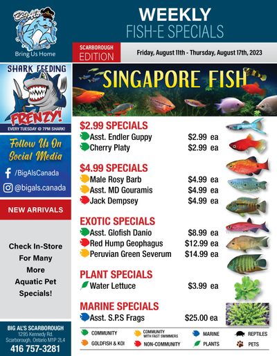 Big Al's (Scarborough) Weekly Specials August 11 to 17