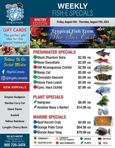 Big Al's (Whitby) Weekly Specials August 11 to 17