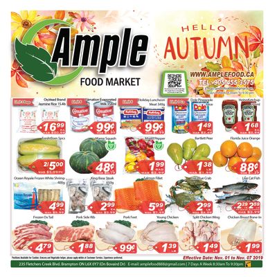 Ample Food Market Flyer November 1 to 7