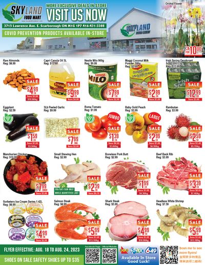 Skyland Food Mart Flyer August 18 to 24