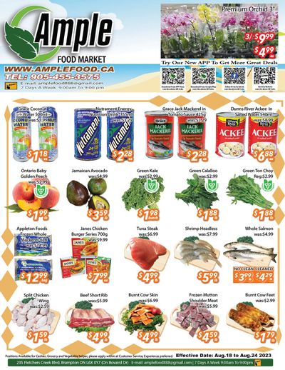 Ample Food Market (Brampton) Flyer August 18 to 24