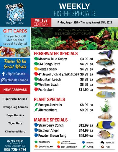 Big Al's (Whitby) Weekly Specials August 18 to 24 Big Al's (Whitby) Weekly Specials August 18 to 24
