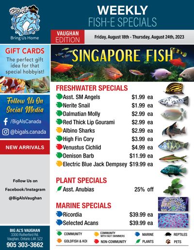 Big Al's (Vaughan) Weekly Specials August 18 to 24