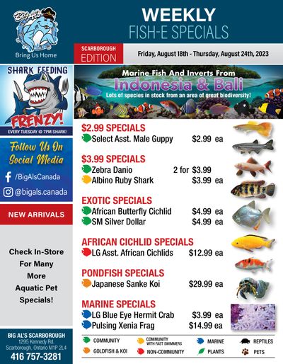 Big Al's (Scarborough) Weekly Specials August 18 to 24