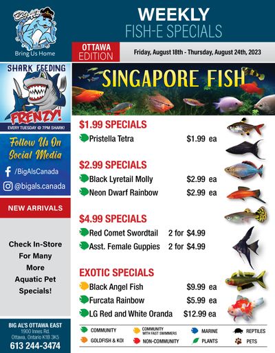 Big Al's (Ottawa East) Weekly Specials August 18 to 24