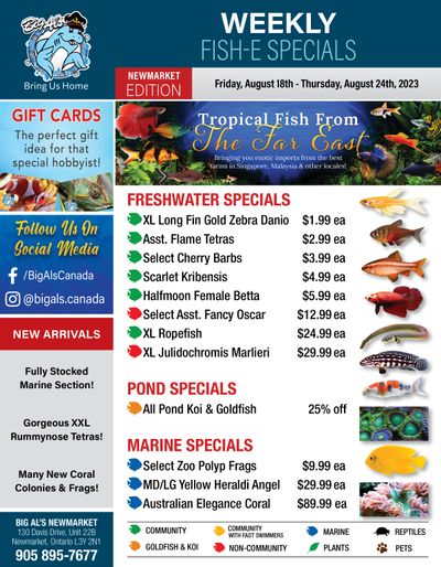 Big Al's (Newmarket) Weekly Specials August 18 to 24