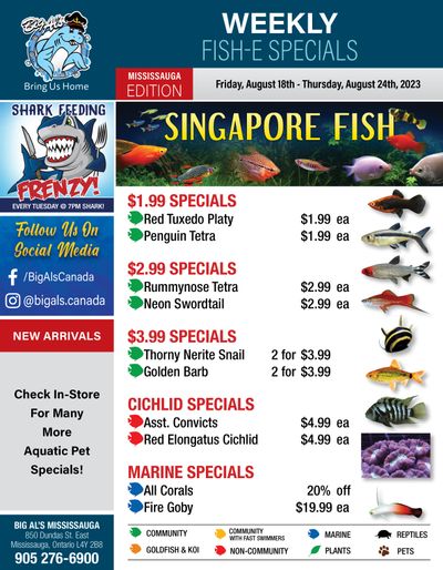 Big Al's (Mississauga) Weekly Specials August 18 to 24