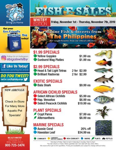 Big Al's (Whitby) Weekly Specials November 1 to 7