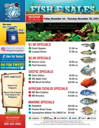 Big Al's (Vaughan) Weekly Specials November 1 to 7