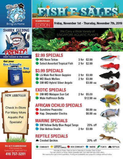 Big Al's (Scarborough) Weekly Specials November 1 to 7