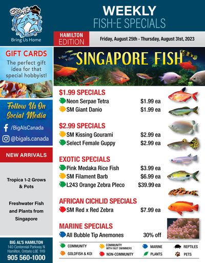 Big Al's (Hamilton) Weekly Specials August 25 to 31