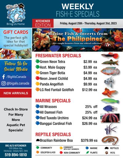 Big Al's (Kitchener) Weekly Specials August 25 to 31