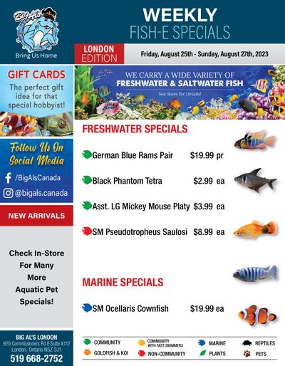 Big Al's (London) Weekend Specials August 25 to 27