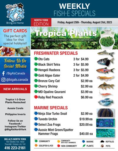 Big Al's (North York) Weekly Specials August 25 to 31
